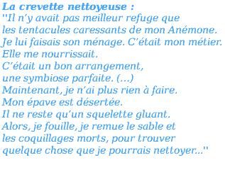 La crevette nettoyeuse : ''Il n’y avait pas meilleur refuge que les tentacules caressants de mon Anémone. Je lui faisais son ménage. C’était mon métier. Elle me nourrissait. C’était un bon arrangement, une symbiose parfaite. (…) Maintenant, je n’ai plus rien à faire. Mon épave est désertée. Il ne reste qu’un squelette gluant. Alors, je fouille, je remue le sable et les coquillages morts, pour trouver quelque chose que je pourrais nettoyer...'' 